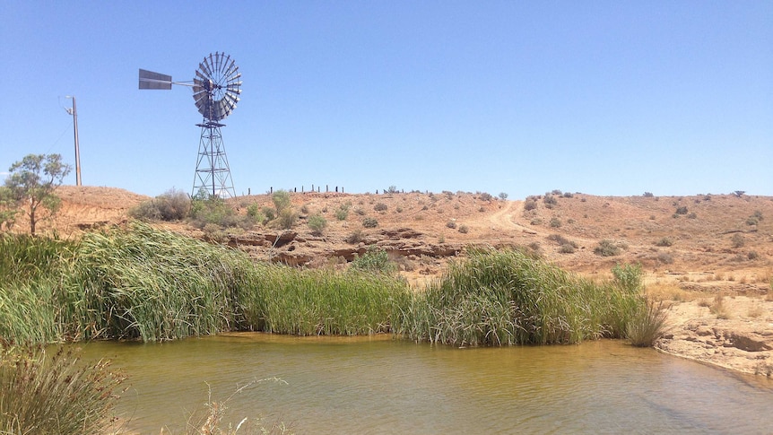 A waterhole in the Flinders Ranges.