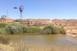 Wallerberdina Station waterhole