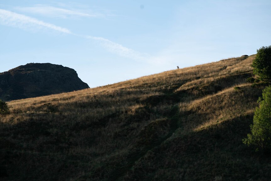 A grassy hill above Edinburgh.