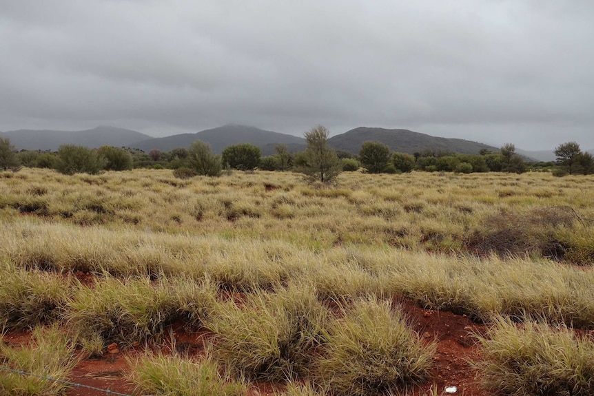 The APY Lands in remote South Australia.