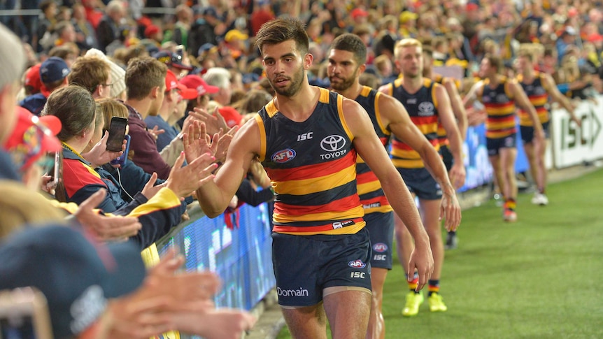 Crows players celebrate with the crowd