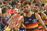 Crows players celebrate with the crowd