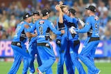 Adelaide Strikers cheering on pitch.