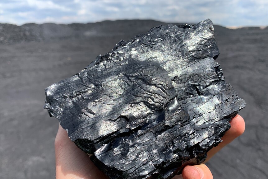 Close-up of a handful of shining, black coal.