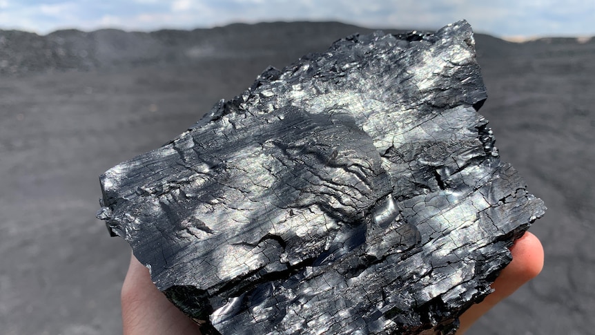 Close-up of a handful of shining, black coal