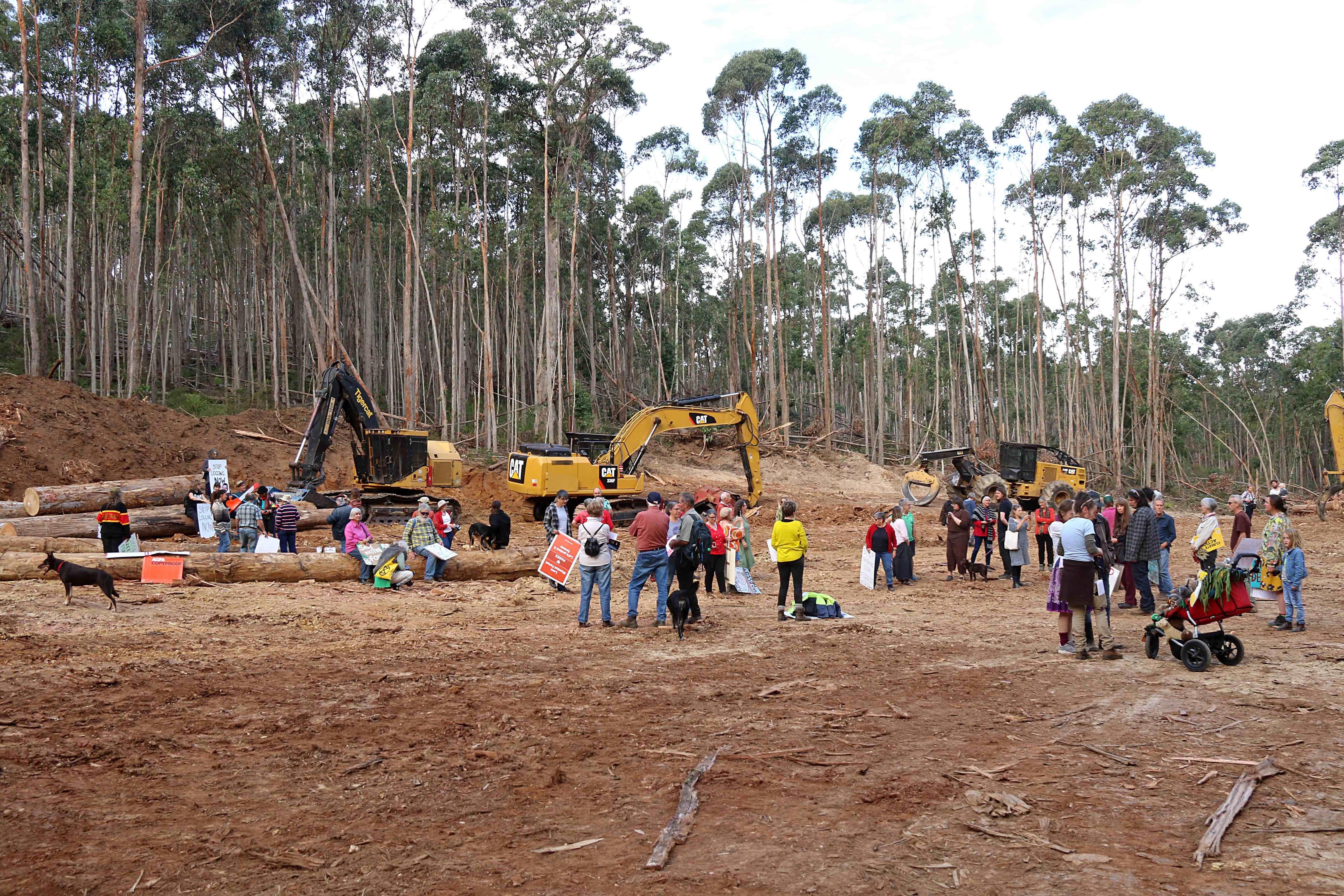 People protesting while standing around excavating machines 