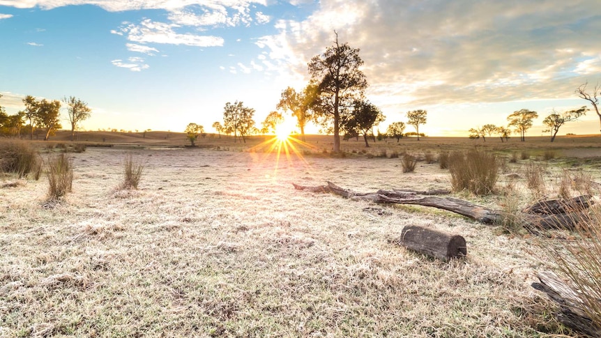 The temperature dropped to and icy 1C at Kilcoy, north-west of Brisbane.