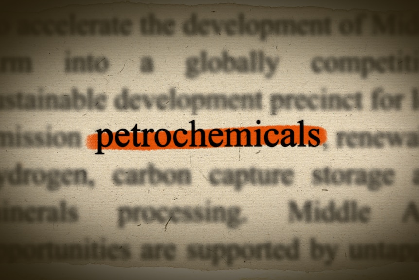 A graphic showing typed text on a page with the word 'petrochemicals' highlighted in orange.