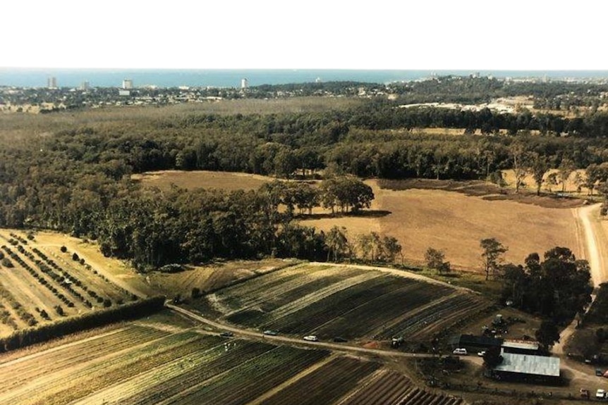 Overhead view of a farm with buildings and the ocean in the background