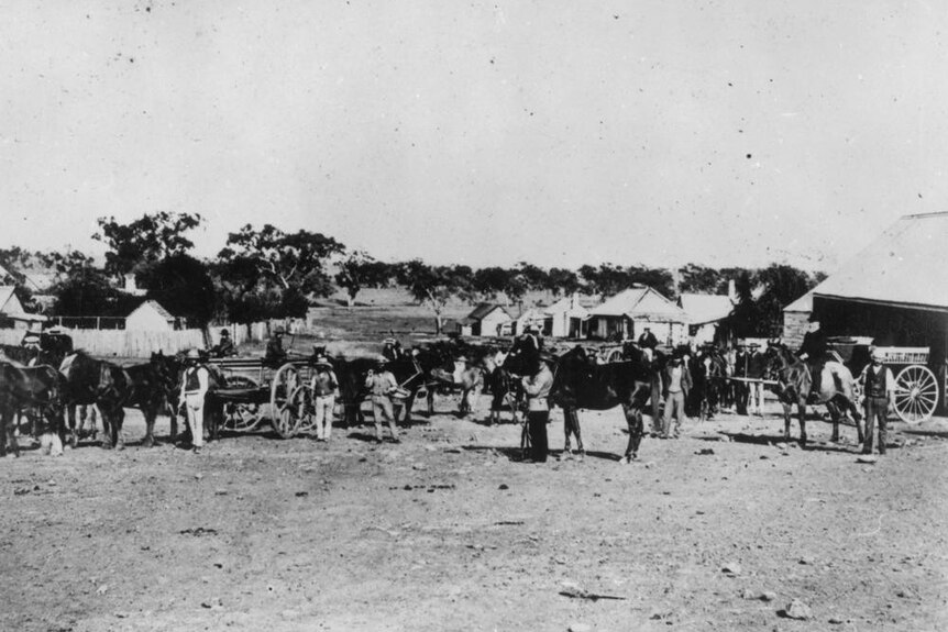 The busy centre of Jimbour station, with dozens of houses, people and horses ca.1884.