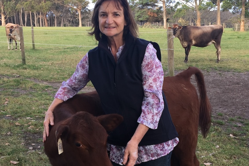 Dr Di Evans standing in a paddock with her arm around a calf, with two more calves in the background.
