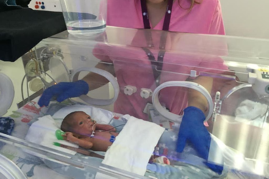 A premature baby in a humidicrib being tended to by a medic.  