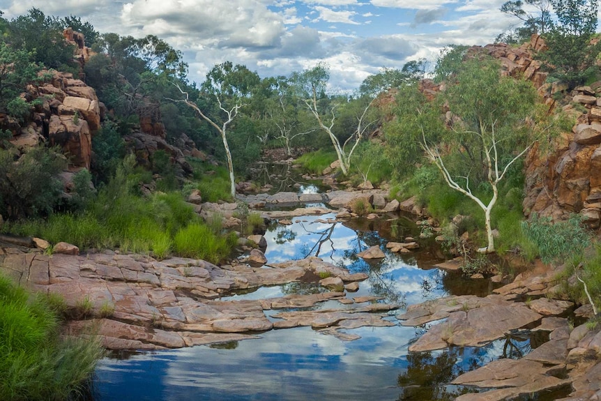 Image of a creek flowing in the Ngaanyatjarra Lands, Western Australia