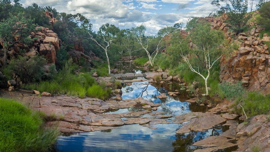 Image of a creek flowing in the Ngaanyatjarra Lands, Western Australia