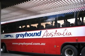 A side view of a Greyhound bus at a bus station