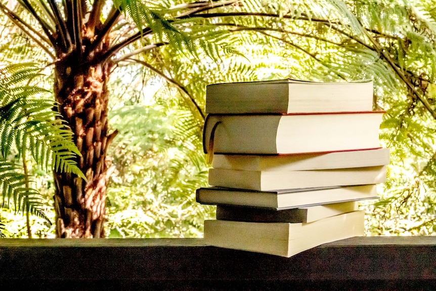 A pile of books sits on a ledge, ferns in sunshine in background.  