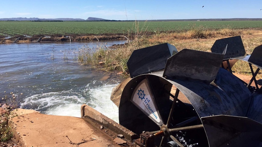 A closeup of a Dethbridge wheel, measuring the flow of water into the Ord Irrigation Scheme.