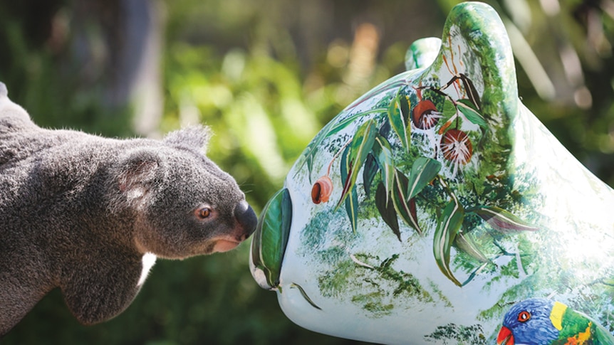 A koala leaning over to sniff at a sculpture of a painted white koala.