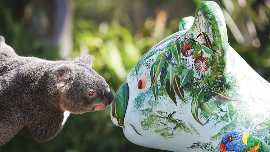 Koala saying hello to a koala sculpture.