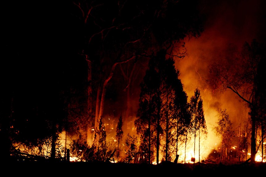 Warrumbungle bushfire  (AAP: Tracey Nearmy)
