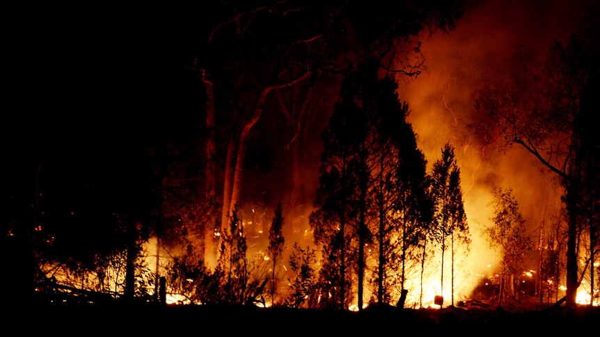Warrumbungle bushfire  (AAP: Tracey Nearmy)