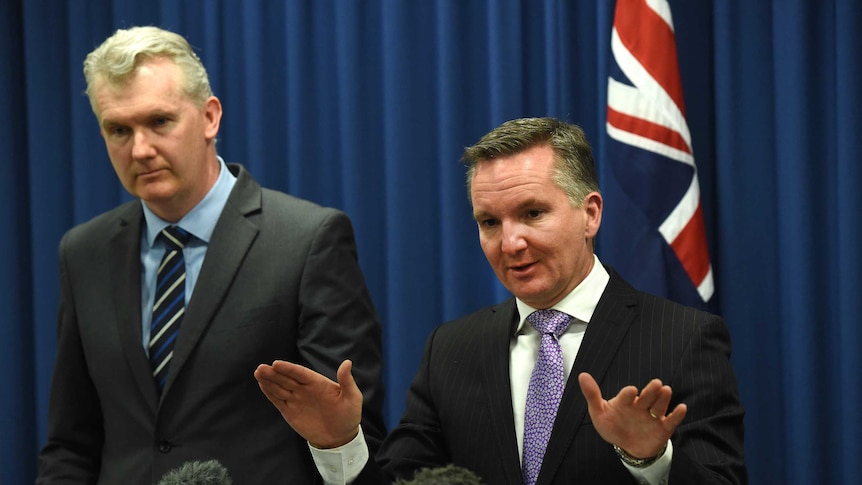 Chris Bowen and Tony Burke announce Labor's costings