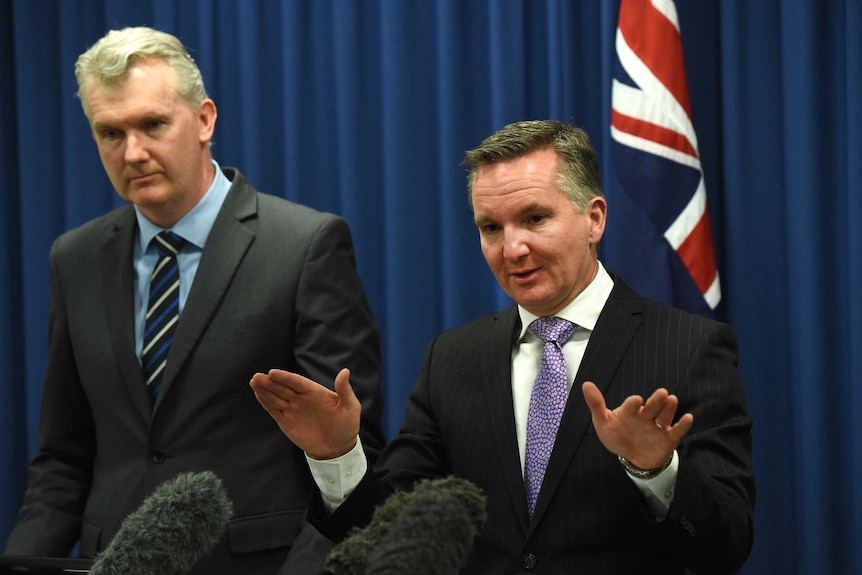 Chris Bowen and Tony Burke announce Labor's costings