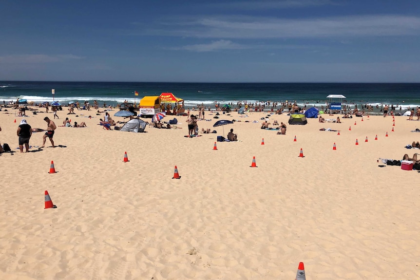 A beach against a blue sky with witches hats creating a pathway