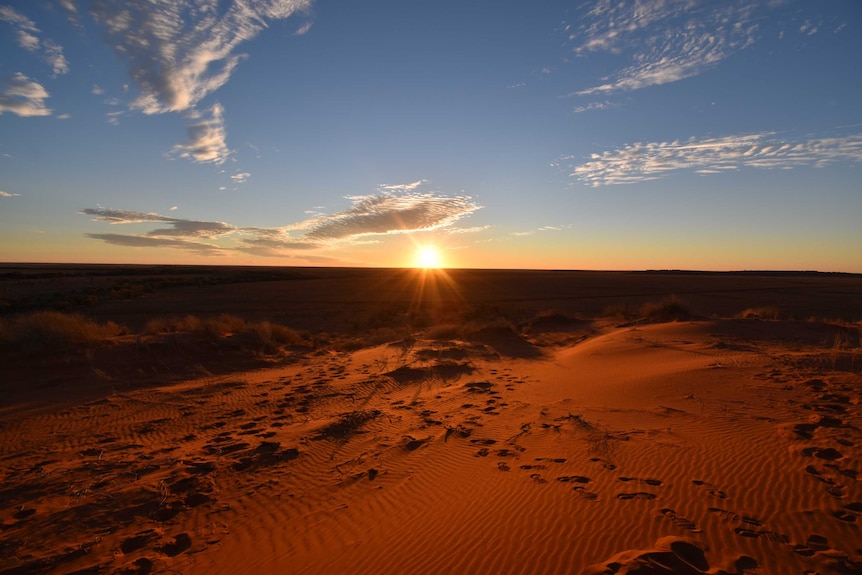 A golden sun beams above the horizon in the centre, with an orange sand dune with wind ripples in the foreground