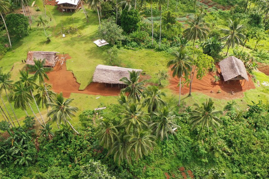 An aerial photo of huts in a village surrounded by green grass, palm trees and other shrubs.