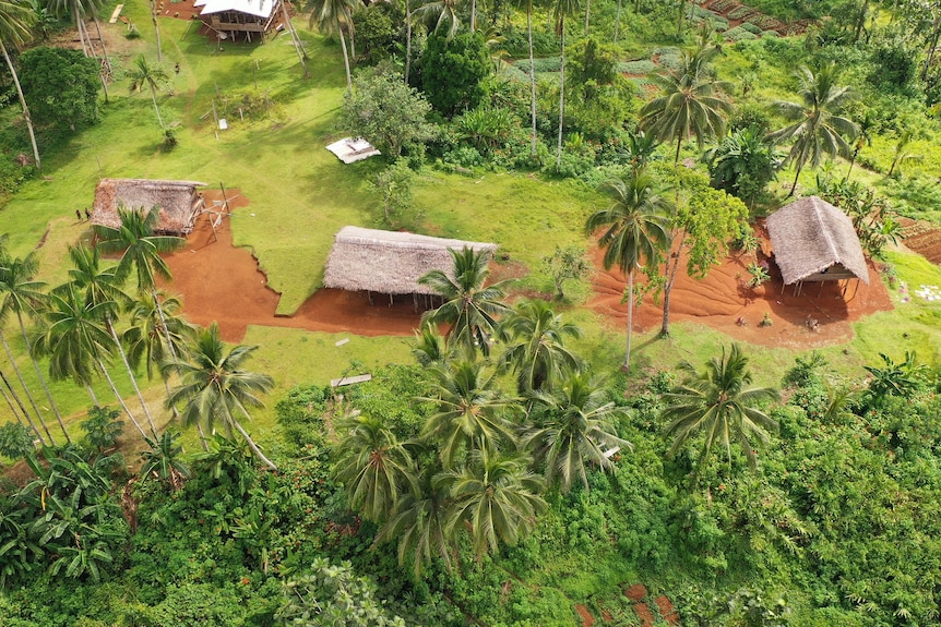 An aerial photo of huts in a village surrounded by green grass, palm trees and other shrubs.