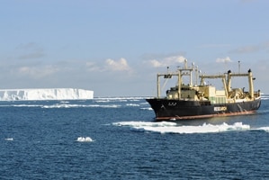 Japanese whaling ship Nisshin Maru in Antarctica