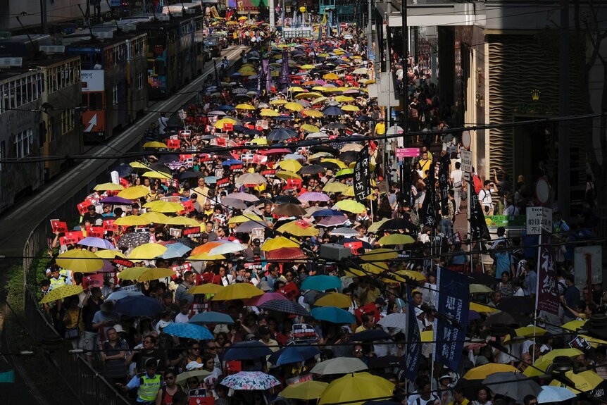 From a high angle, you look down on a snaky street in Hong Kong that is filled with people carrying bright yellow umbrellas.