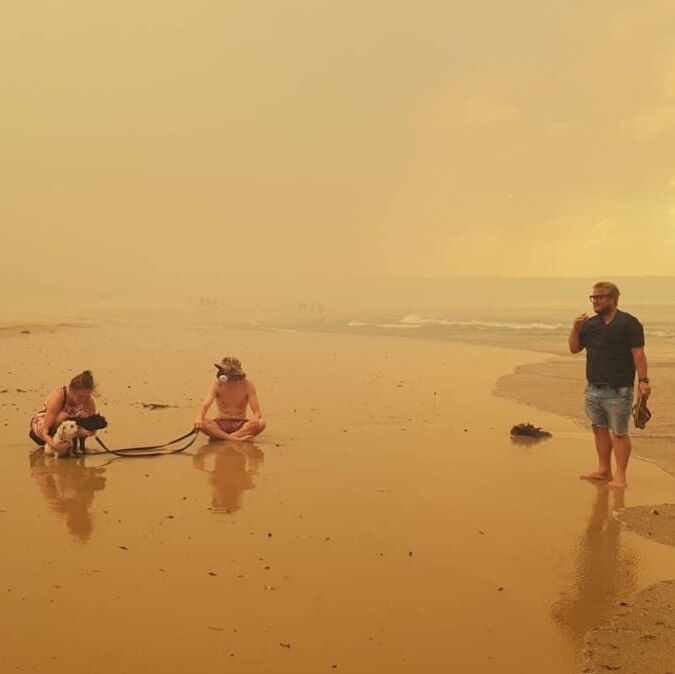 Three young people on the beach with two dogs.