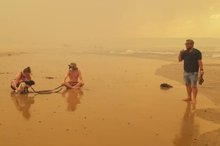 Three young people on the smoke-filled beach with two dogs.