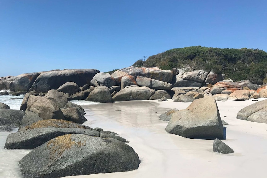 Smooth rocks at the Bay of Fires on Tasmania's east coast.