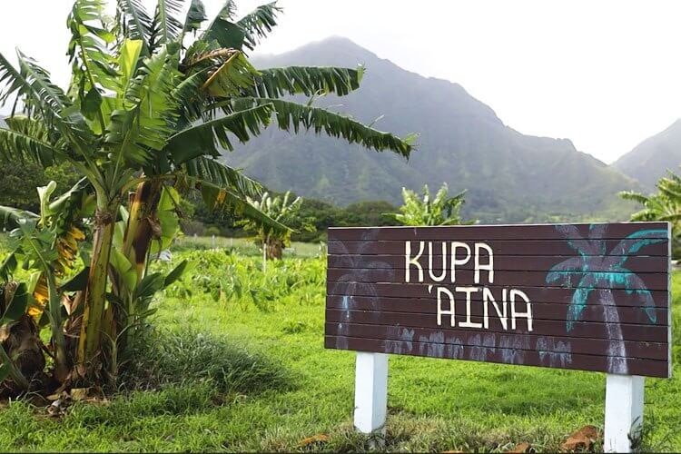 In the backdrop is a huge green mountain, and lush green trees in the foreground, and a sign on wood that reads 'Kupa Aina'.