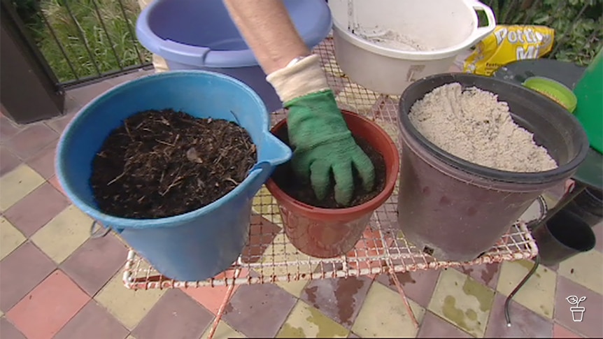 Potting mixes in buckets on a table.