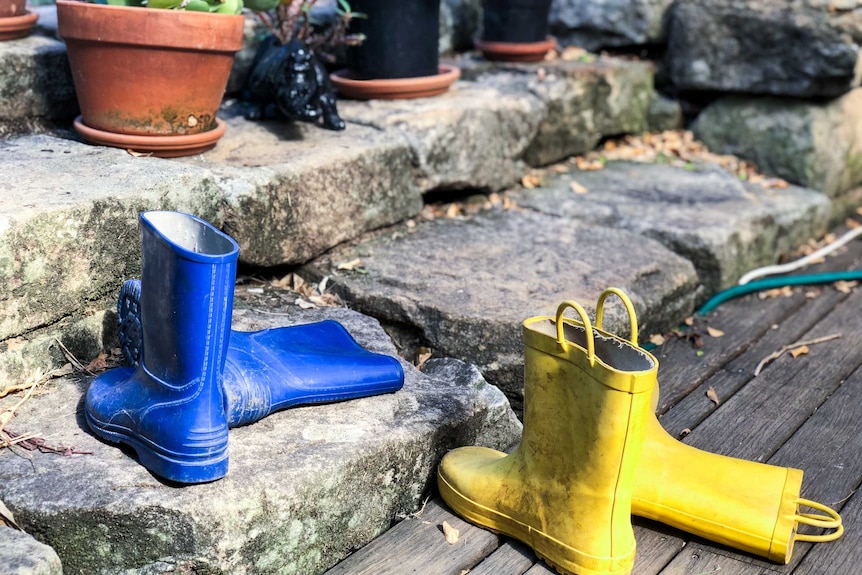 Two pairs of gumboots sit outside a home