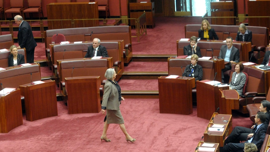LNP senator Sue Boyce crossed the floor to vote.