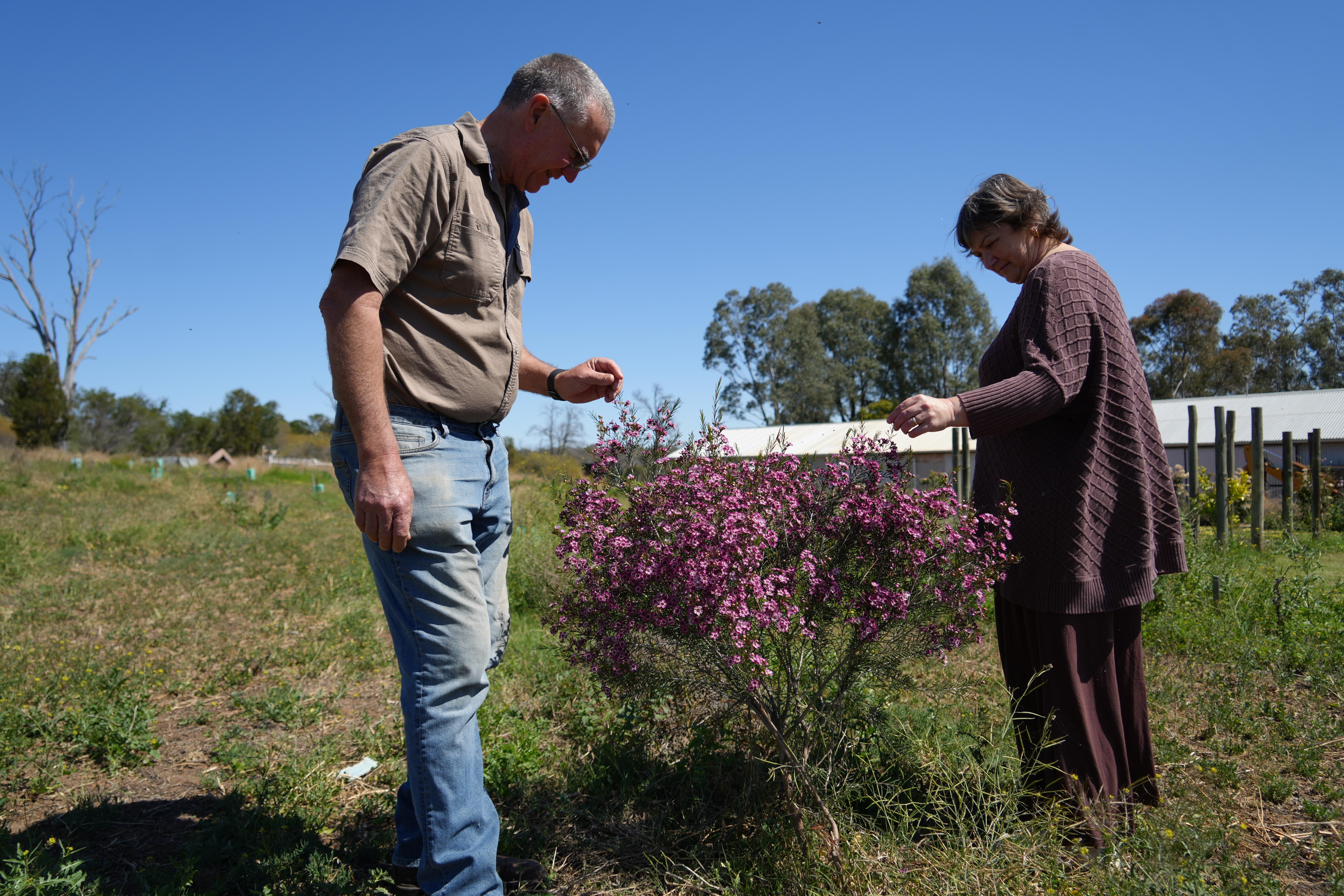Former vineyard turned into sanctuary for endangered birds