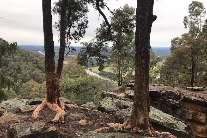 A scenic image overlooking a cliff with trees in the foreground and below