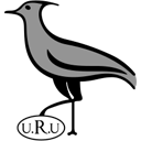 Uruguay rugby logo BIG
