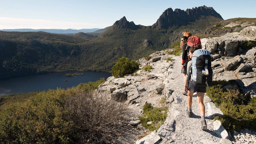 Bushwalkers on a mountainous trail.