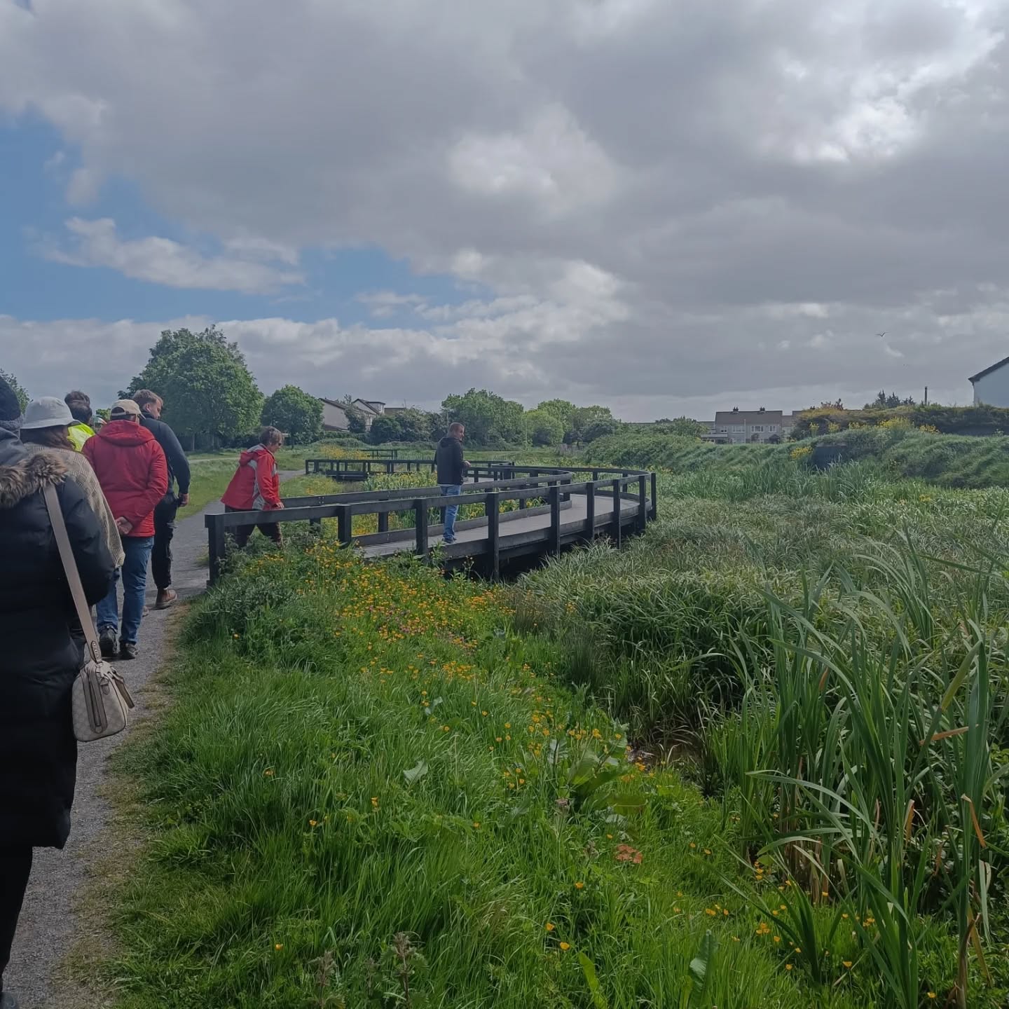 A group of people walk over a small bridge in long lush green grass. 
