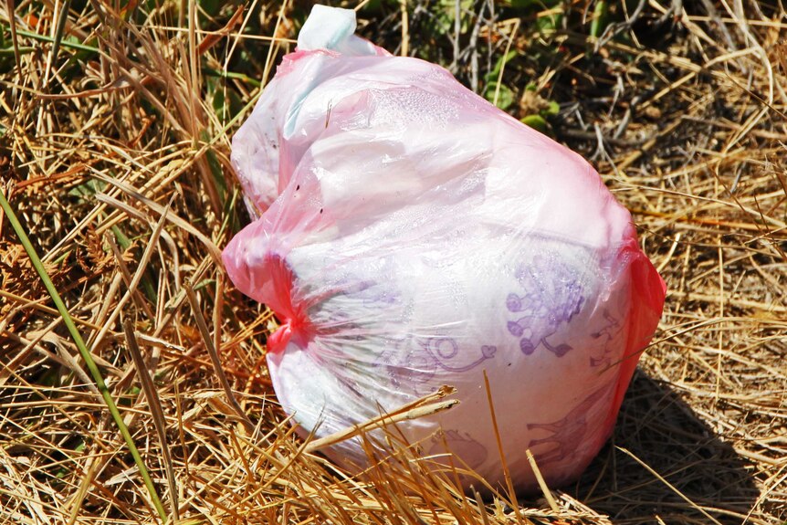 A bag of rubbish on the side of the road on Bruny Island