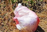 A bag of rubbish on the side of the road on Bruny Island