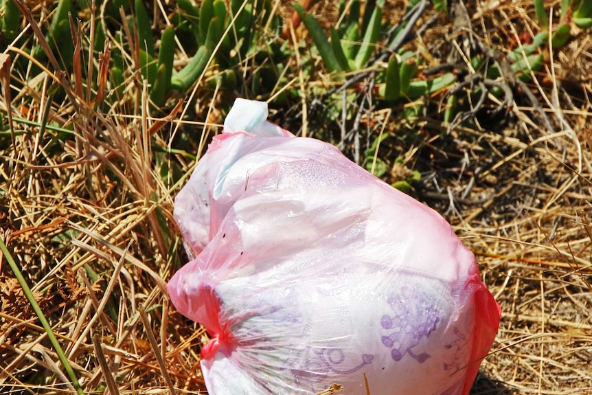 Nappies on the Dennes Point