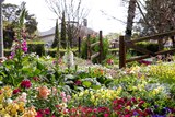 A garden in Laurel Bank Park in Toowoomba with colourful flowers