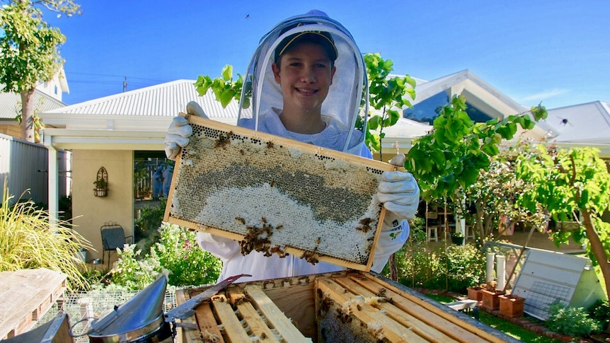A boy in a beekeeper's suit holds up a beehive frame swarming with bees.